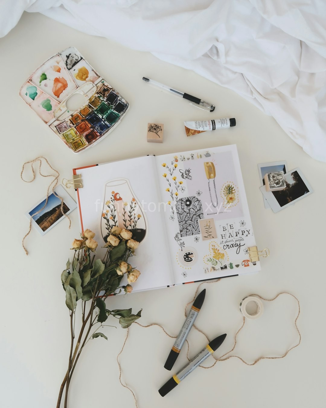Paints