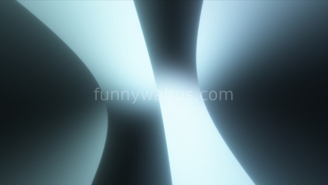 Brand Motion