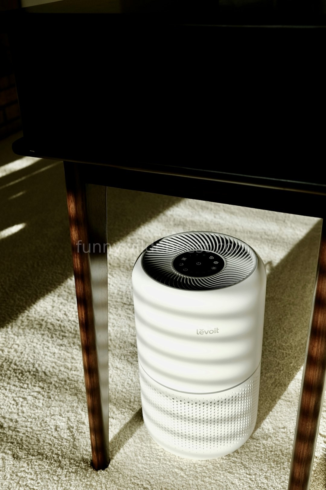 HEPA Filter
