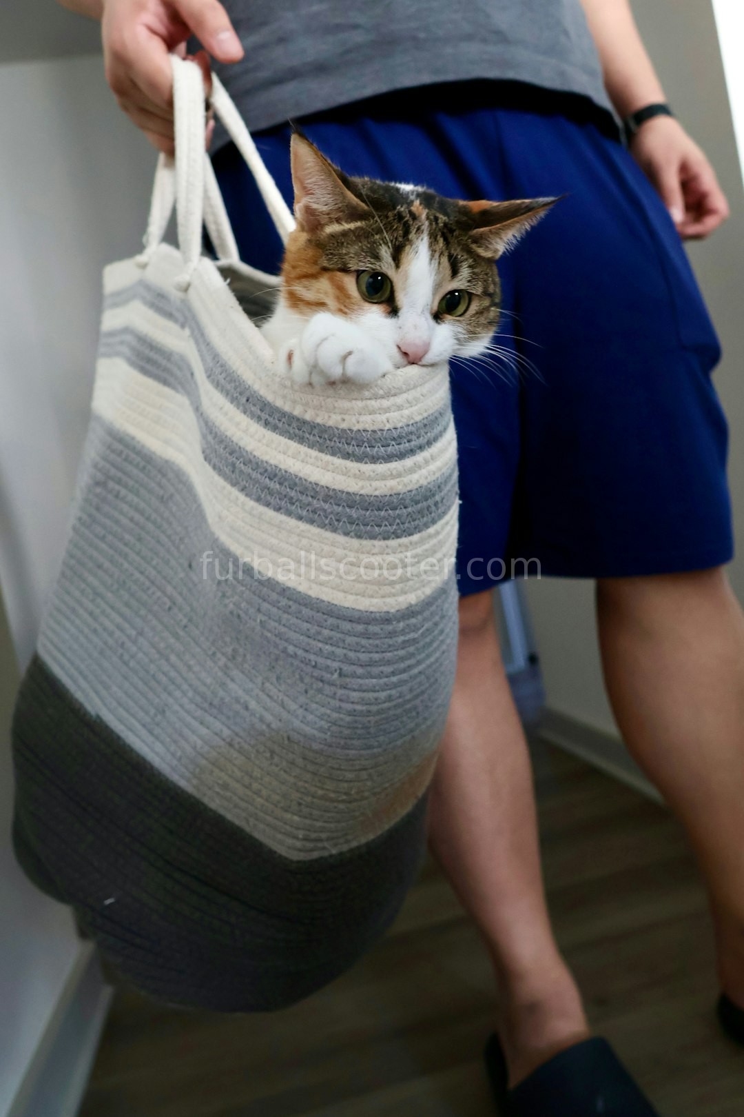 Pet care