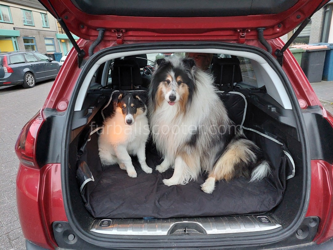 Airport transfers
