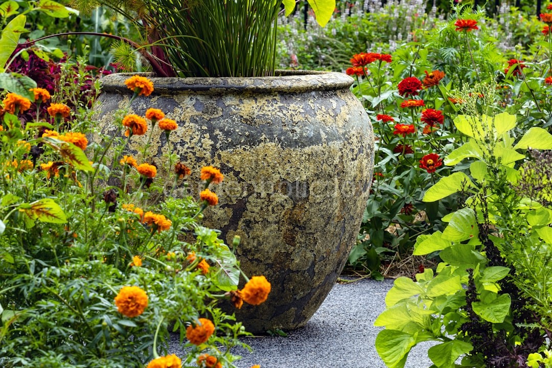 Botanical Curation