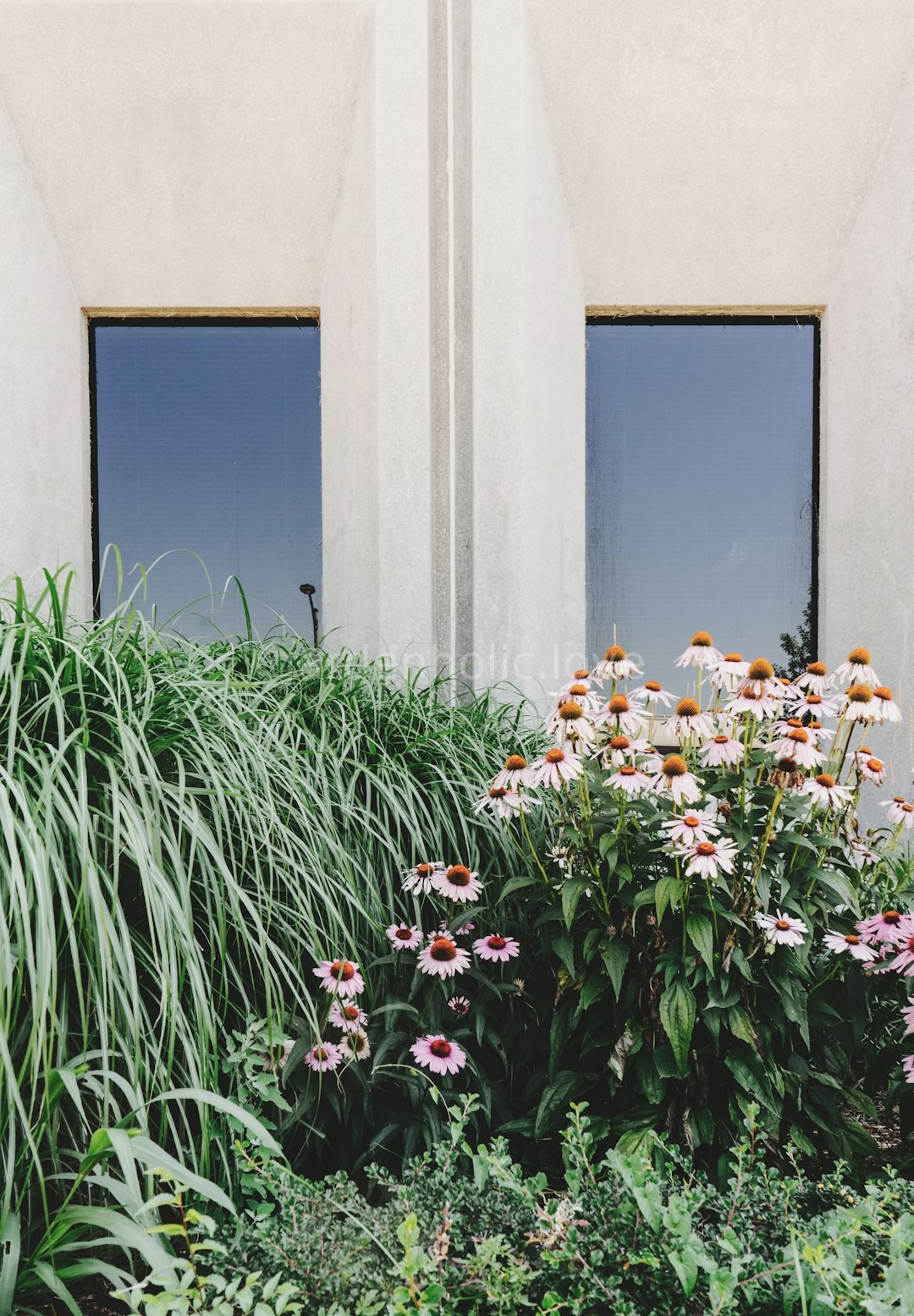 Garden detail