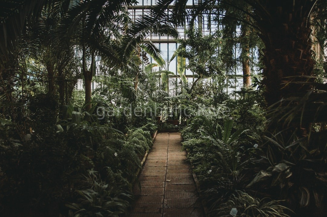Greenhouse interior