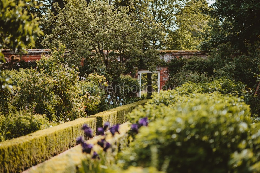 Garden Design