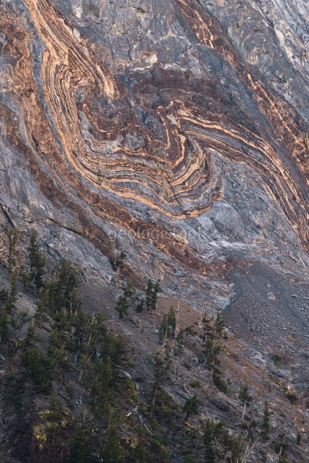 Alluvial Landscape