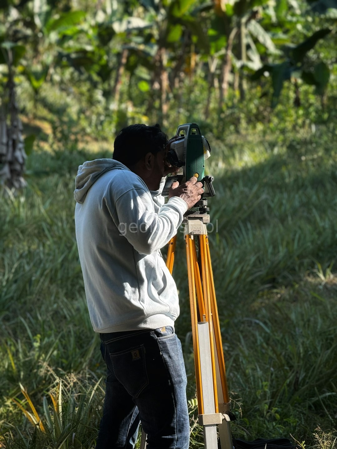 Boundary Survey