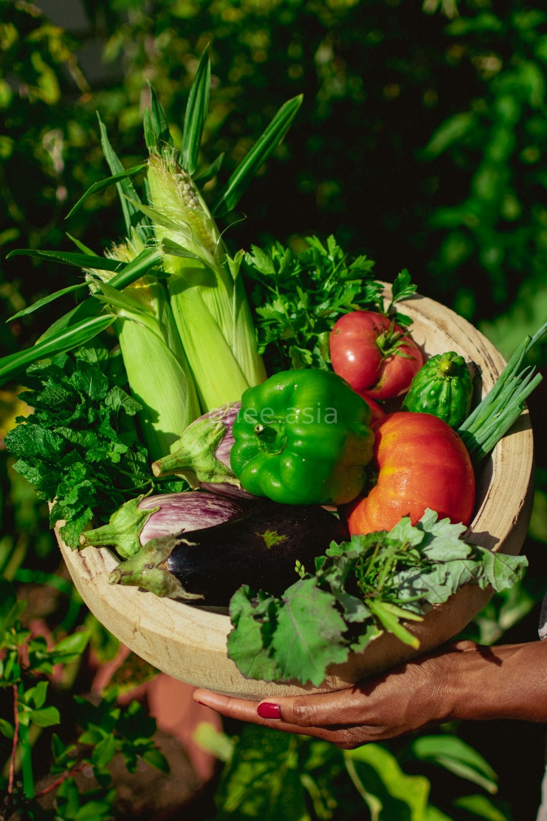 Premium Organic Food