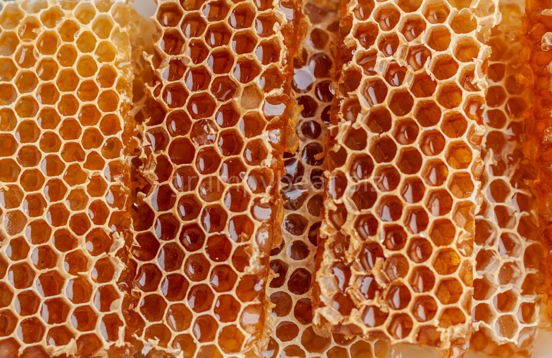 Comb Honey