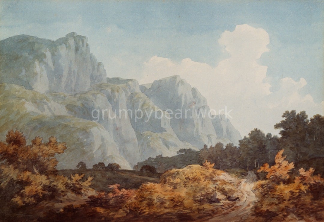 Premium Painting Service