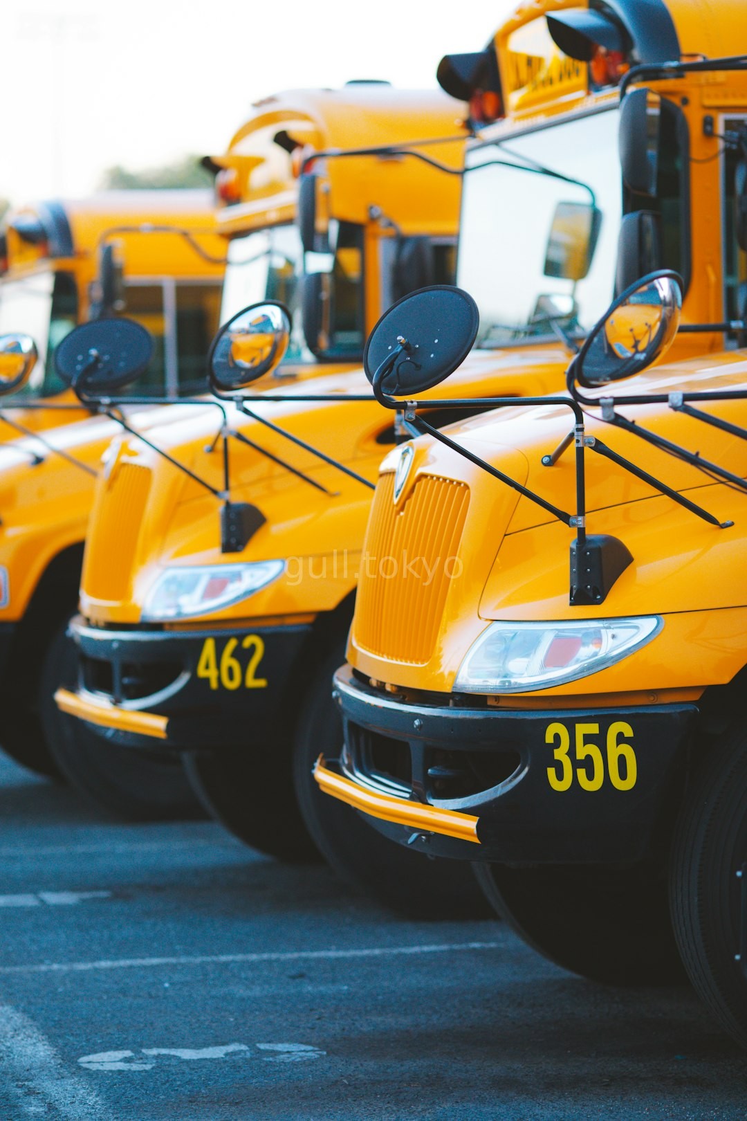 School Bus Fleet