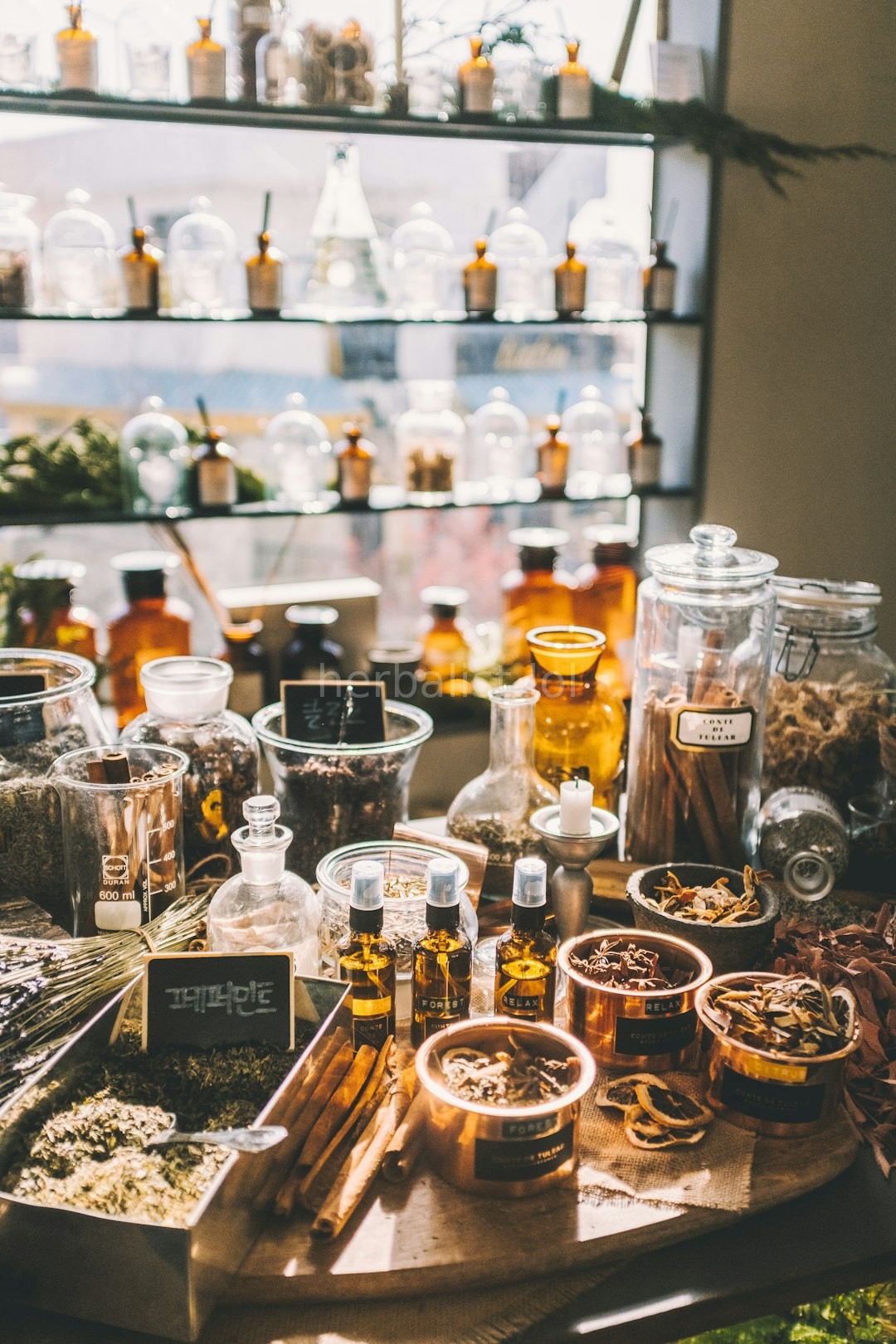 Herbal Garden