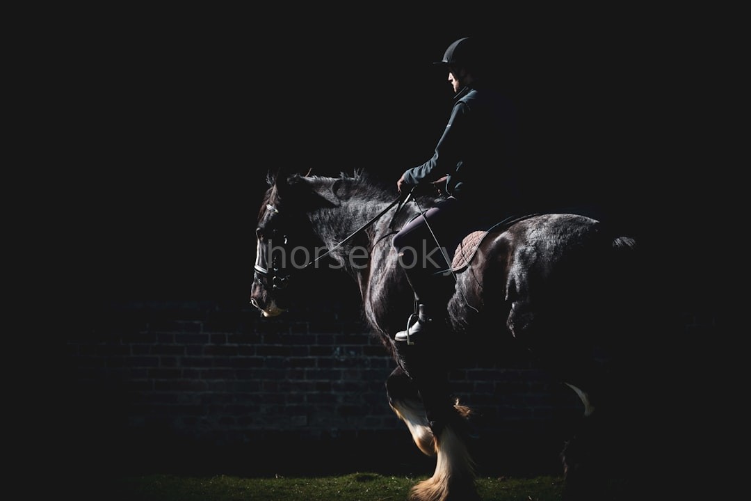 Equestrian Mastery