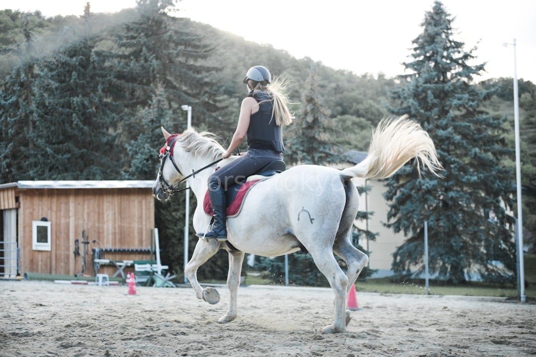 Riding Coaching