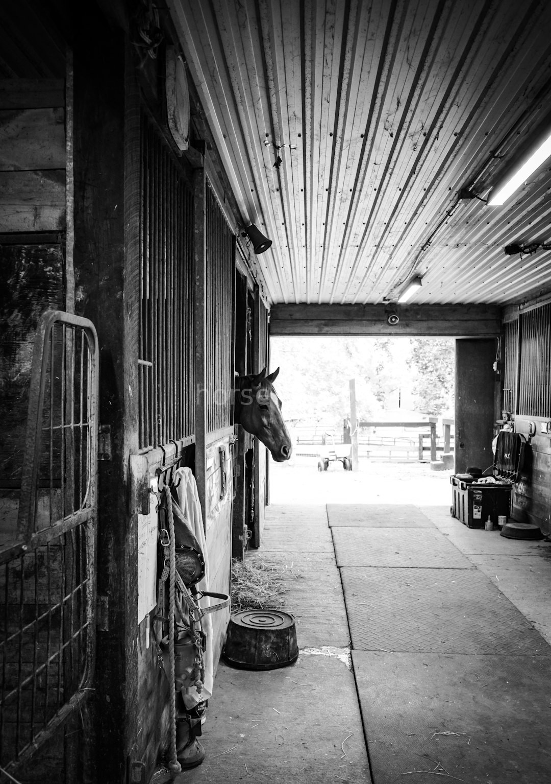 Riding Instruction