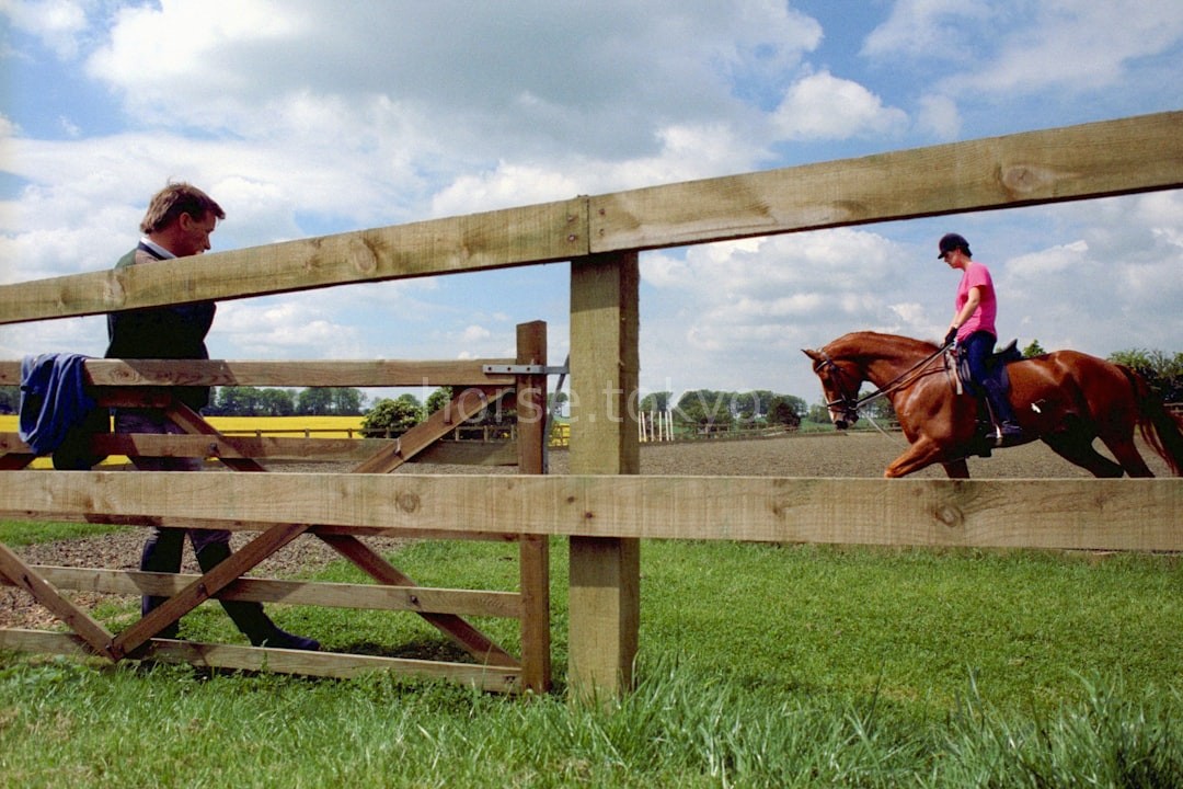 Equestrian training