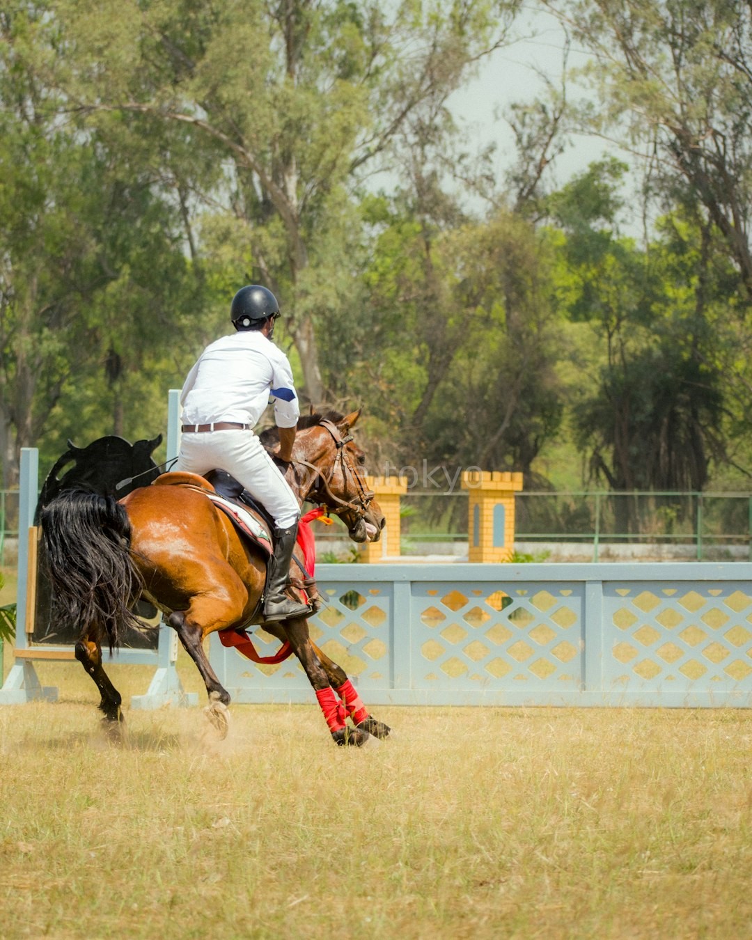 Galloping horse