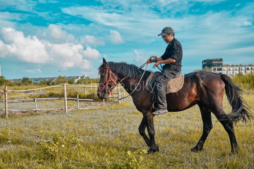 Hero Horse