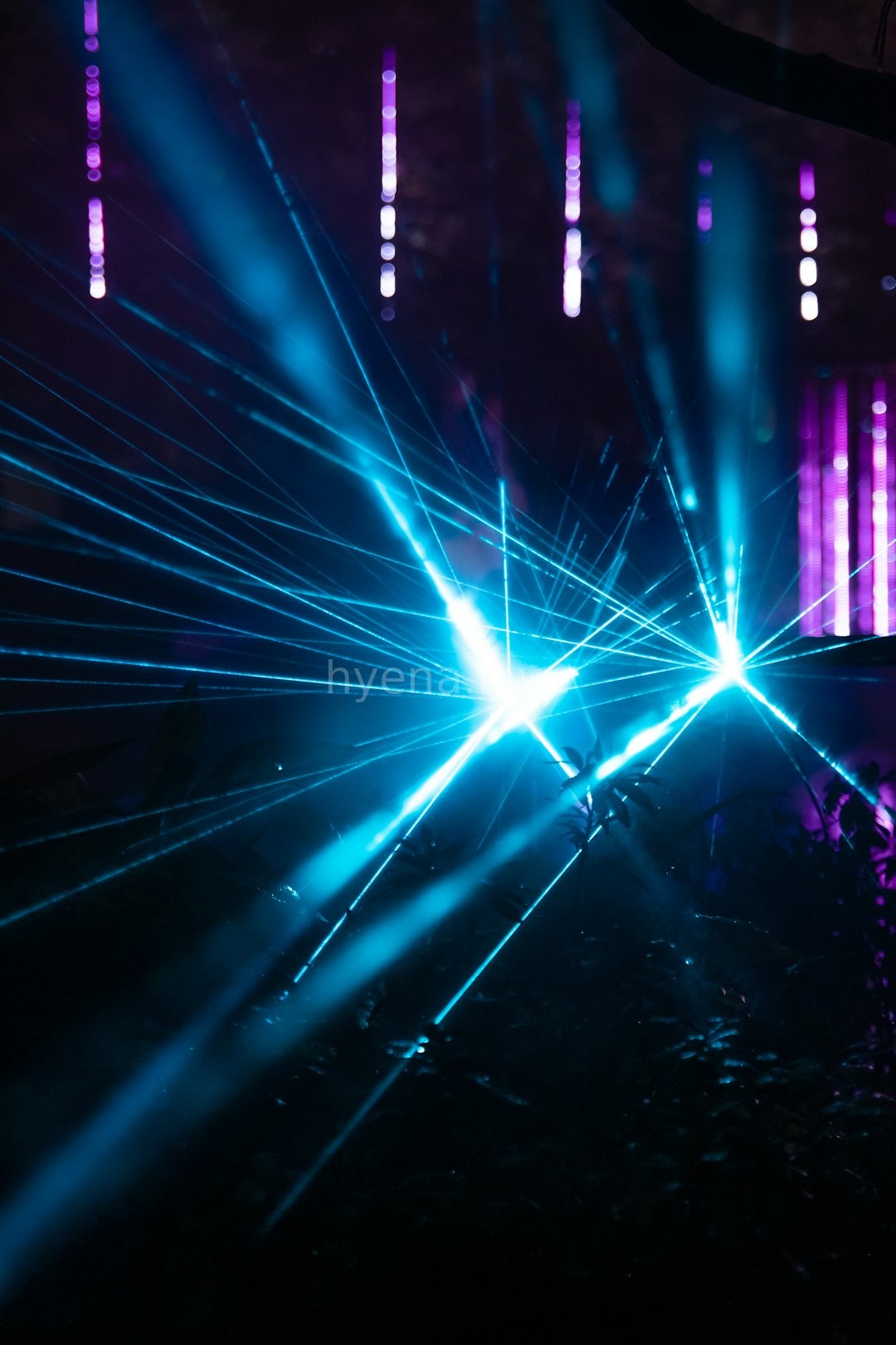 Festival Production