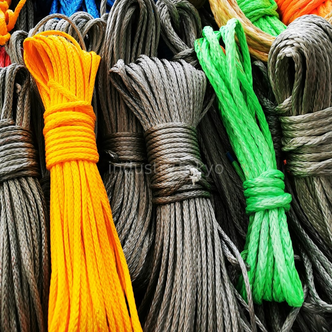 Custom Rigging