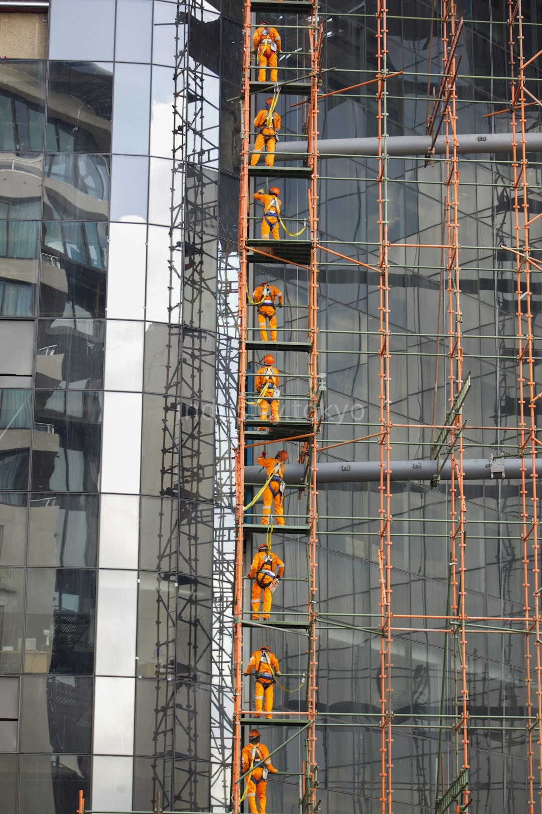 Residential Scaffolding