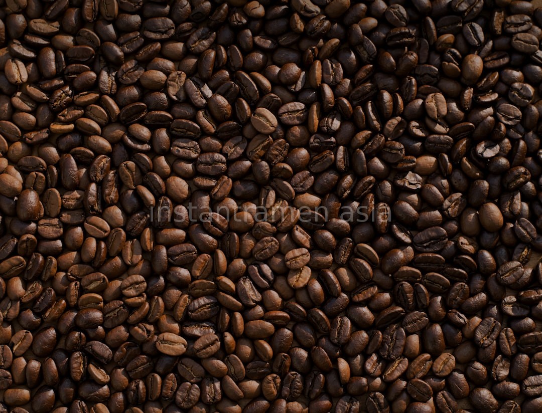 Precision Brew