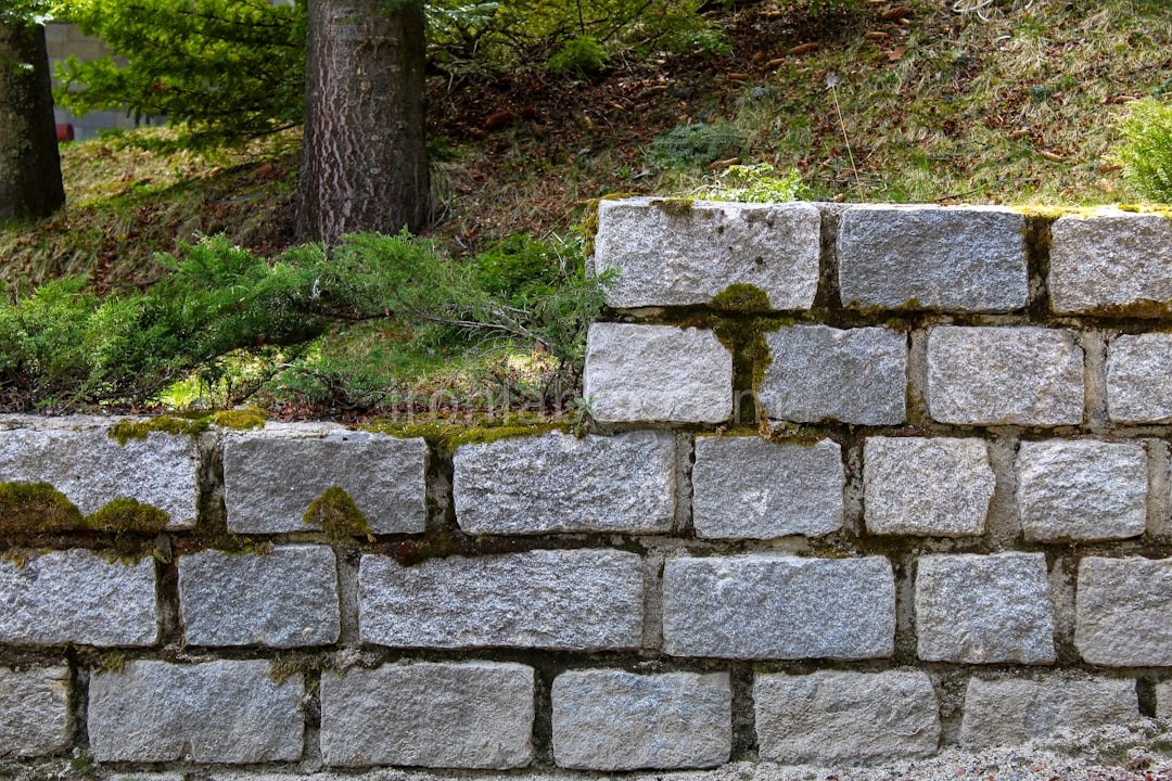 Decorative Masonry
