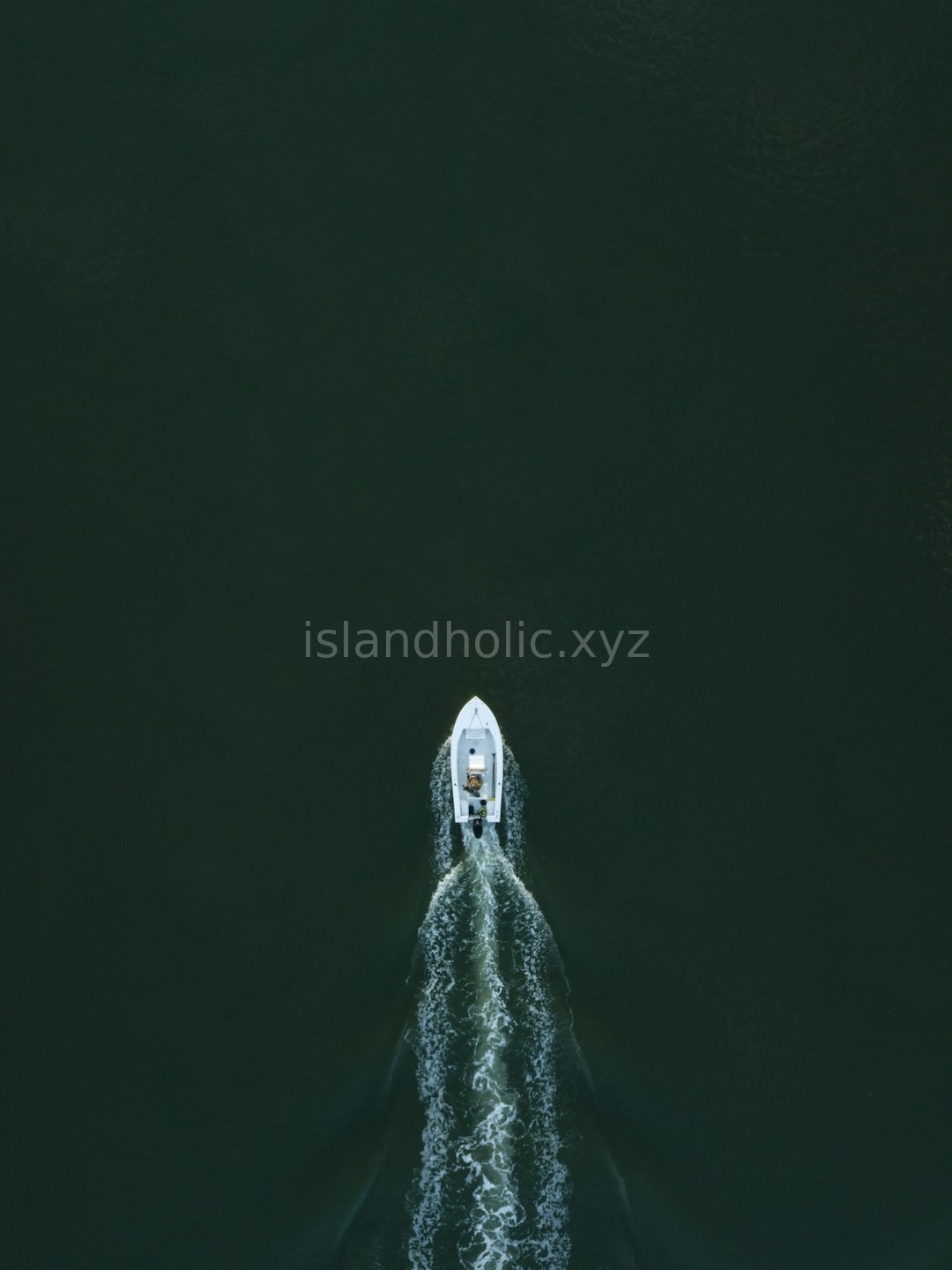 Luxury Boat