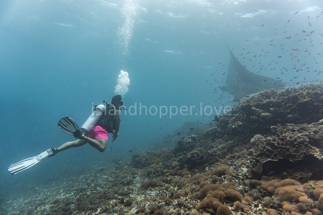 Diver Detail
