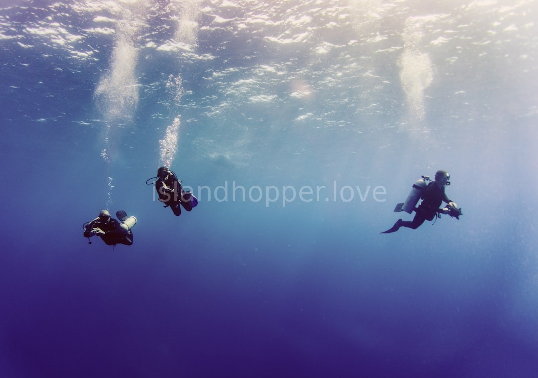 Underwater View