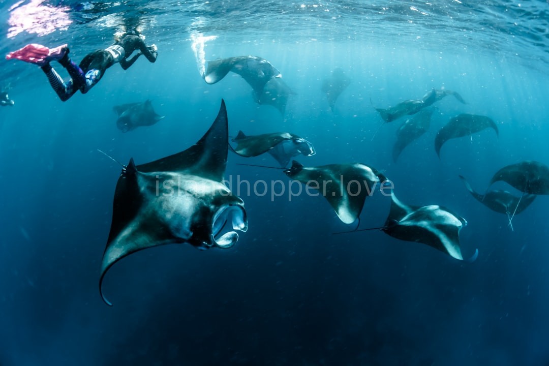 Deep Blue Ocean