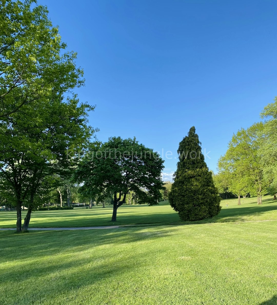 Lawn Detail
