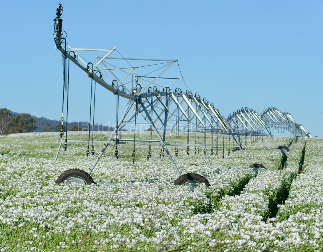 Irrigation Professional