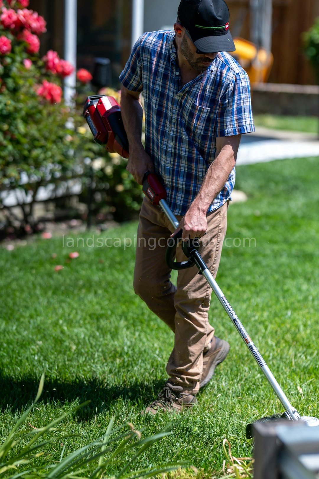 Garden Reel 2