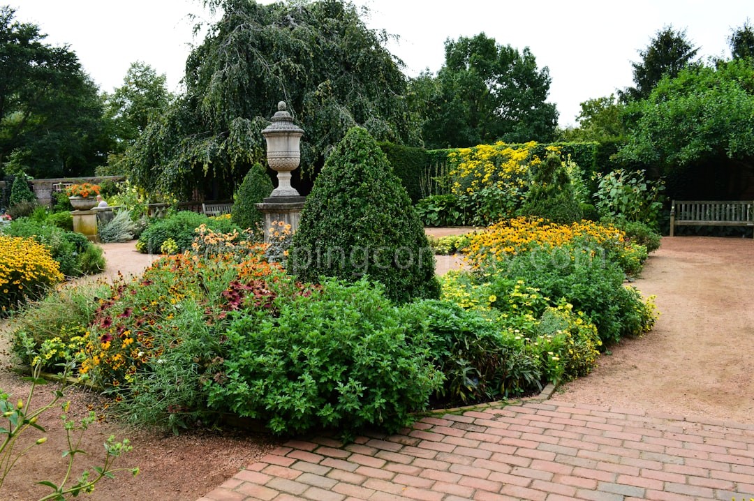 Hardscape