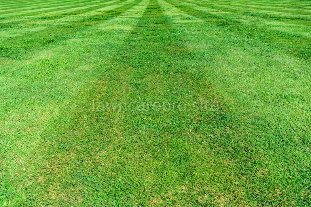 Compost Application