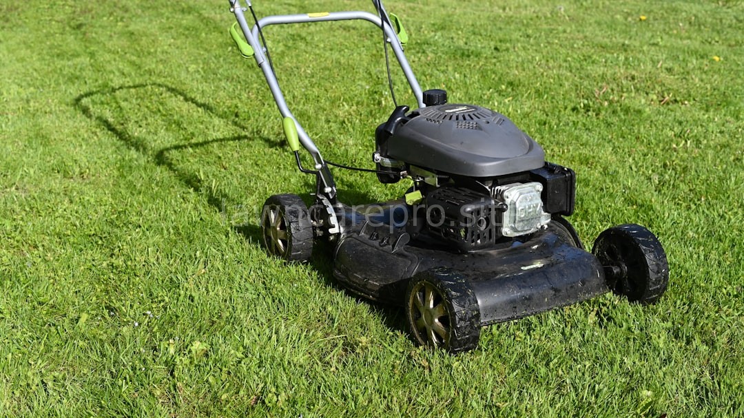 Perfectly manicured lawn