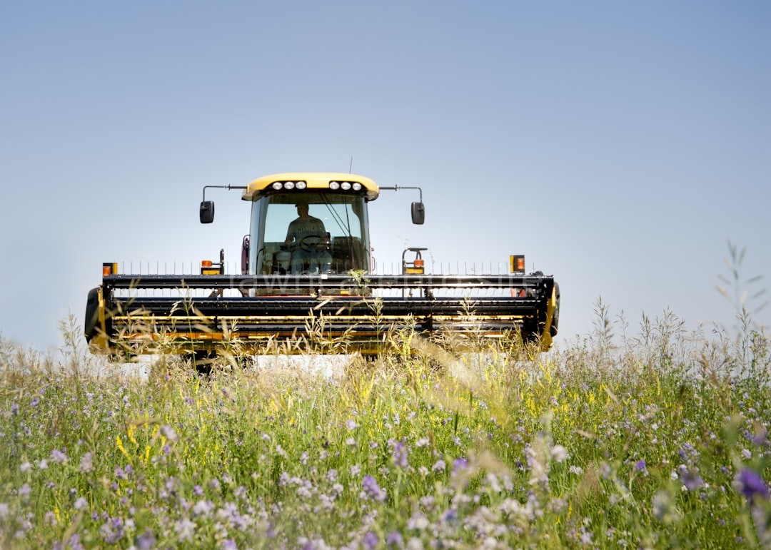Weed Control