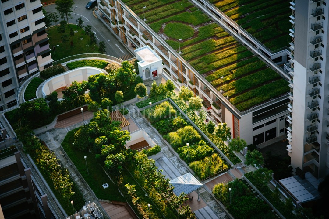 Modern Green Home
