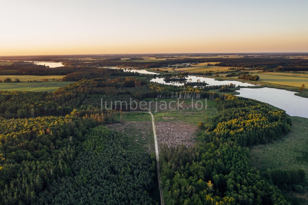 Forestry Landscape