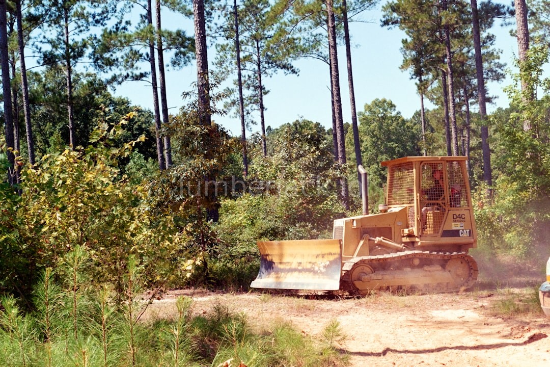 Lot Clearing