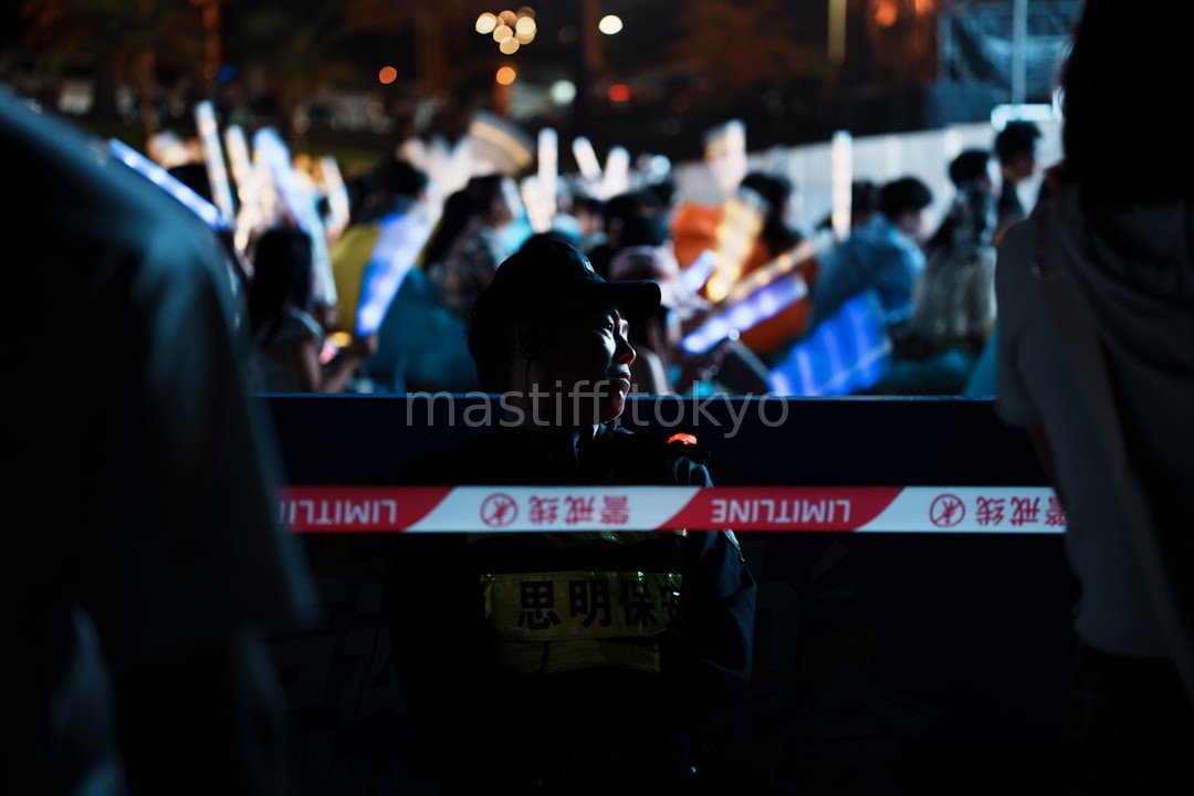 Security Detail 4