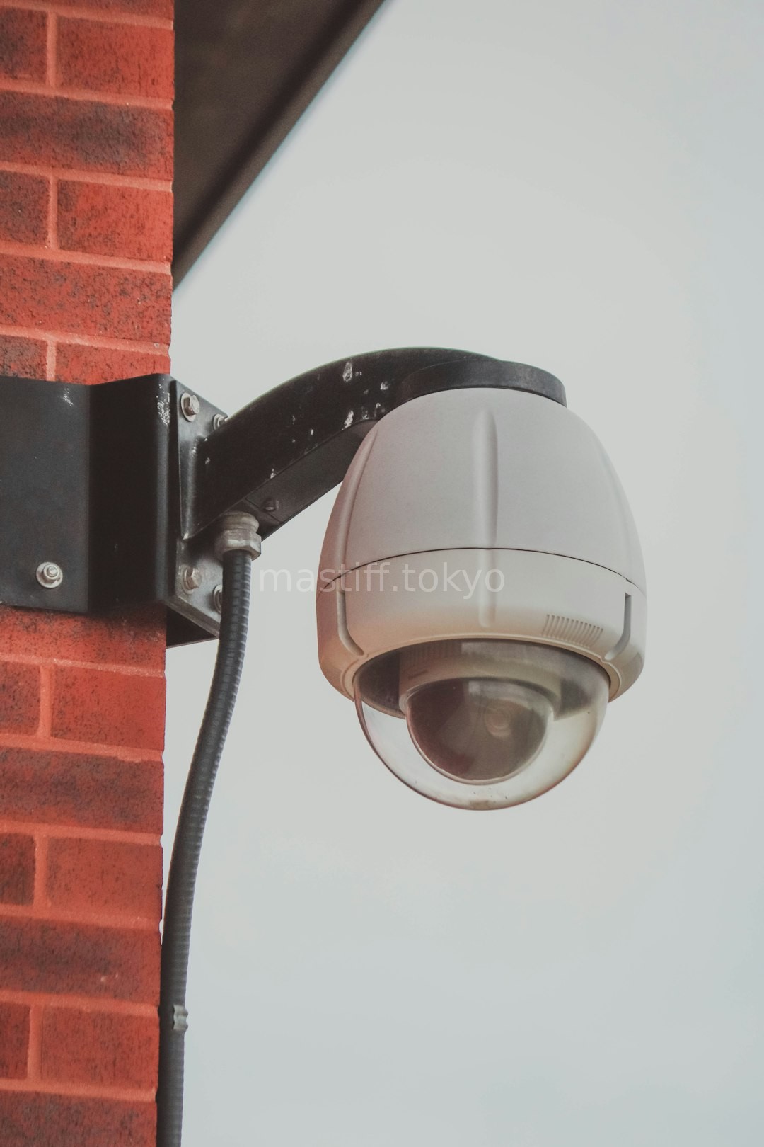 Surveillance
