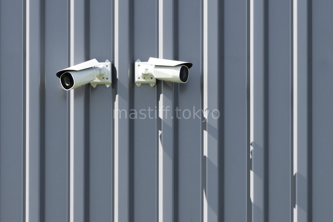 Security Background