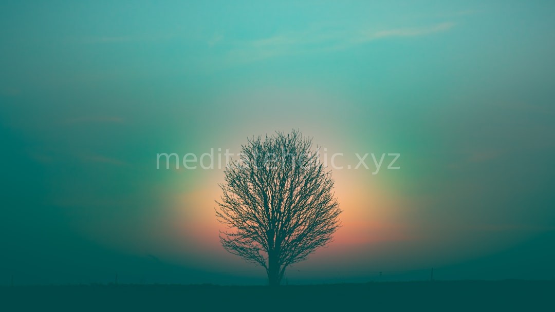 Energy Clearing