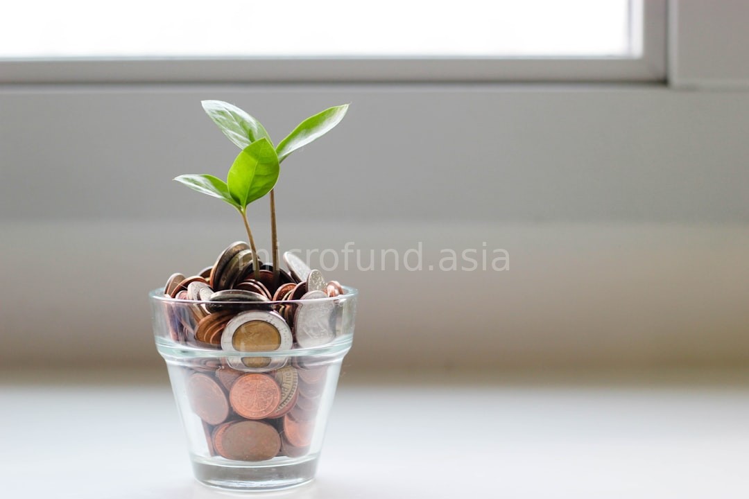 Seed Stage
