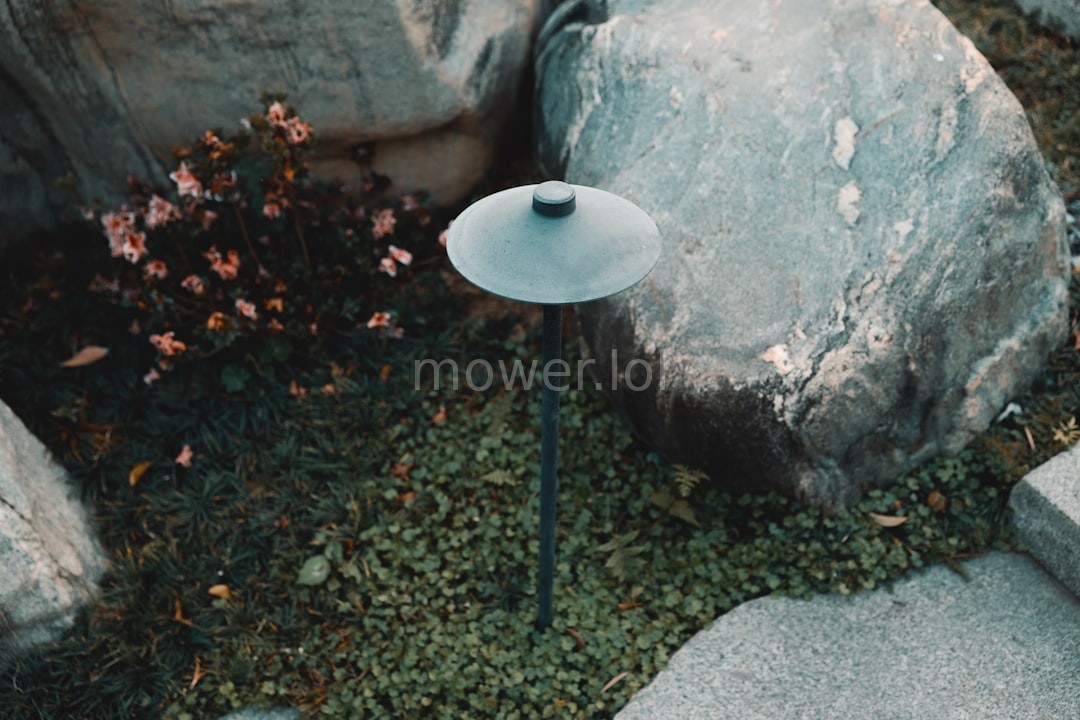 Luxury Landscape