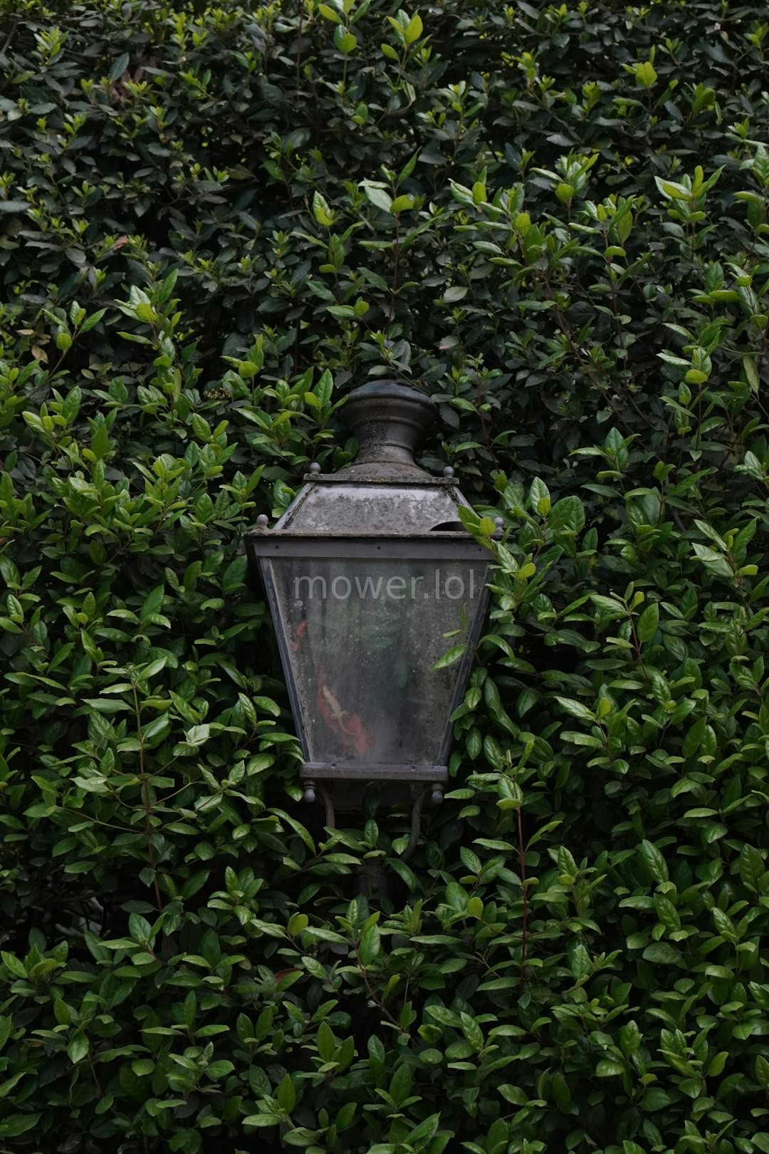 Architectural Lighting