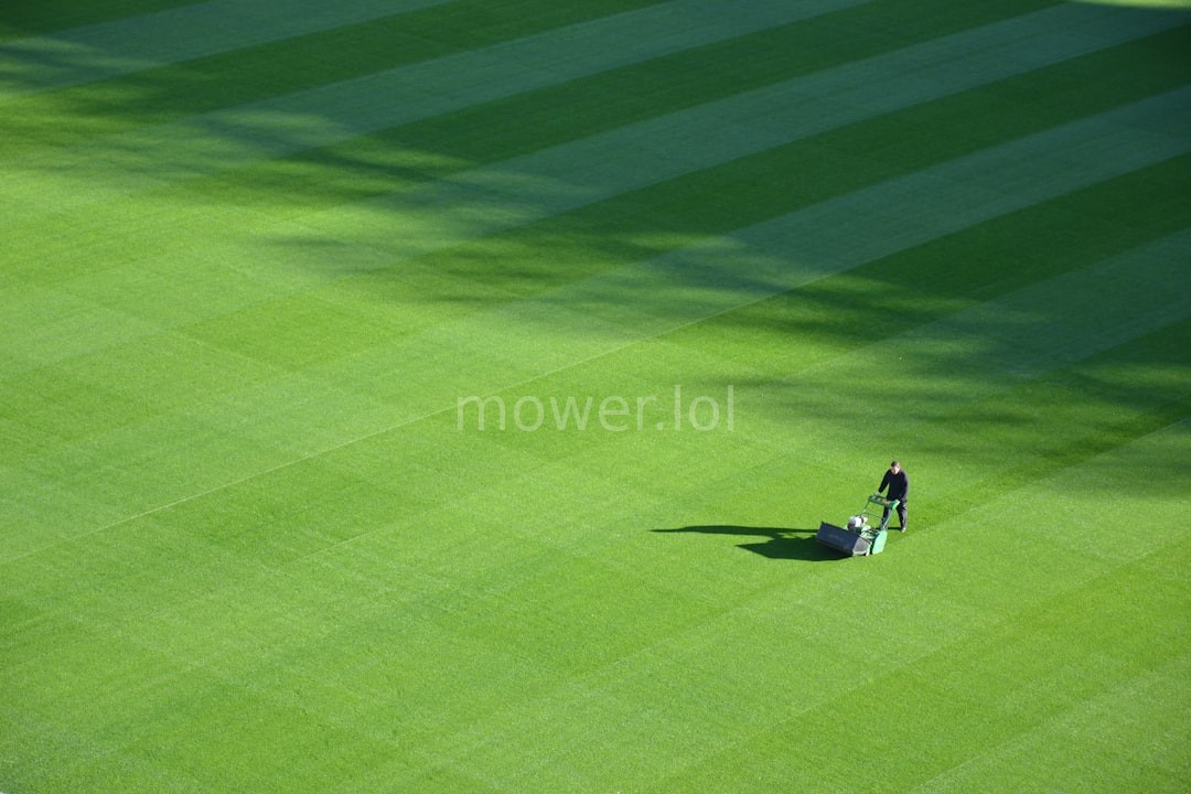 Lawn background