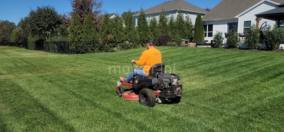 Owner working